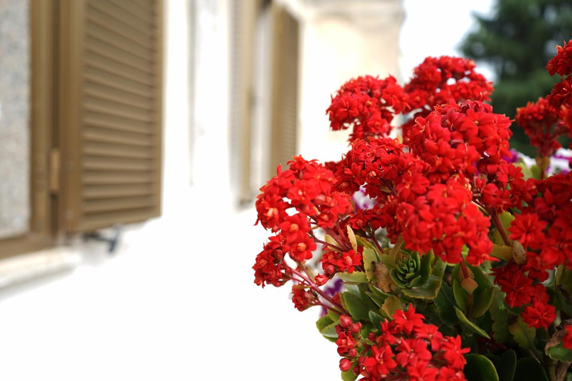 Ostuni Dream House Apartment Exterior foto